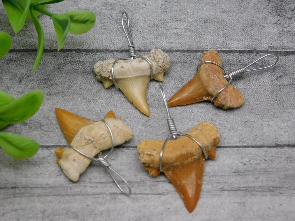 SHARK TEETH PENDANTS ROCK STONE LAPIDARY SPECIMEN: SHARK TEETH PENDANTS ROCK STONE LAPIDARY SPECIMEN