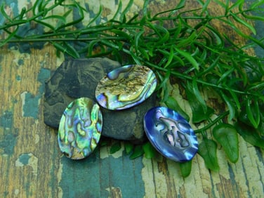 ABALONE STONE CABOCHONS ROCK STONE LAPIDARY SPECIMEN
