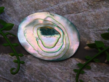 ABALONE STONE CABOCHON ROCK STONE LAPIDARY SPECIMEN
