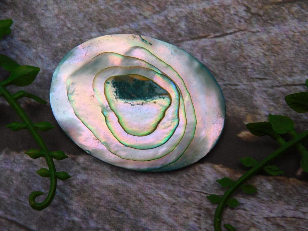 ABALONE STONE CABOCHON ROCK STONE LAPIDARY SPECIMEN: ABALONE STONE CABOCHON ROCK STONE LAPIDARY SPECIMEN