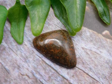 DINOSAUR BONE CABOCHON ROCK STONE LAPIDARY SPECIMEN