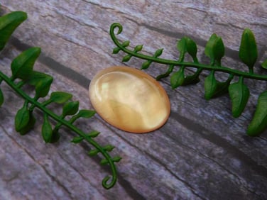 CABOCHON ROCK STONE LAPIDARY SPECIMEN
