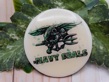 NAVY SEALS CABOCHON ROCK STONE LAPIDARY SPECIMEN
