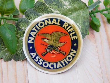 NRA CABOCHON ROCK STONE LAPIDARY SPECIMEN