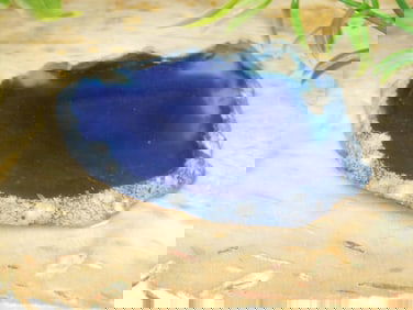 AGATE SLICE ROCK STONE LAPIDARY SPECIMEN