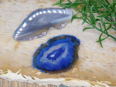 AGATE SLICES ROCK STONE LAPIDARY SPECIMEN