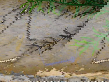 GENUINE STONE ADJUSTABLE BRACELET ROCK STONE LAPIDARY SPECIMEN