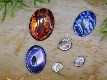 ABALONE STONE CABOCHONS ROCK STONE LAPIDARY SPECIMEN