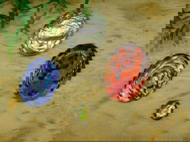 ABALONE STONE CABOCHONS ROCK STONE LAPIDARY SPECIMEN