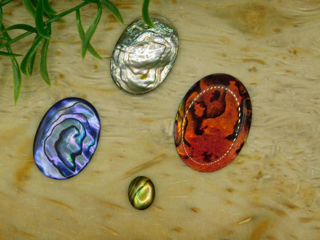 ABALONE STONE CABOCHONS ROCK STONE LAPIDARY SPECIMEN: ABALONE STONE CABOCHONS ROCK STONE LAPIDARY SPECIMEN