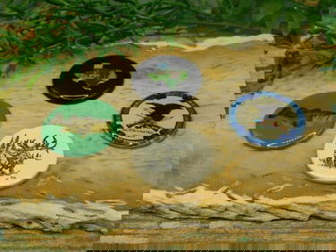 MIXED CABOCHON LOT ROCK STONE LAPIDARY SPECIMEN