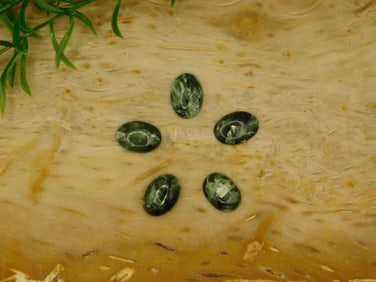 SERAPHINITE CABOCHONS ROCK STONE LAPIDARY SPECIMEN