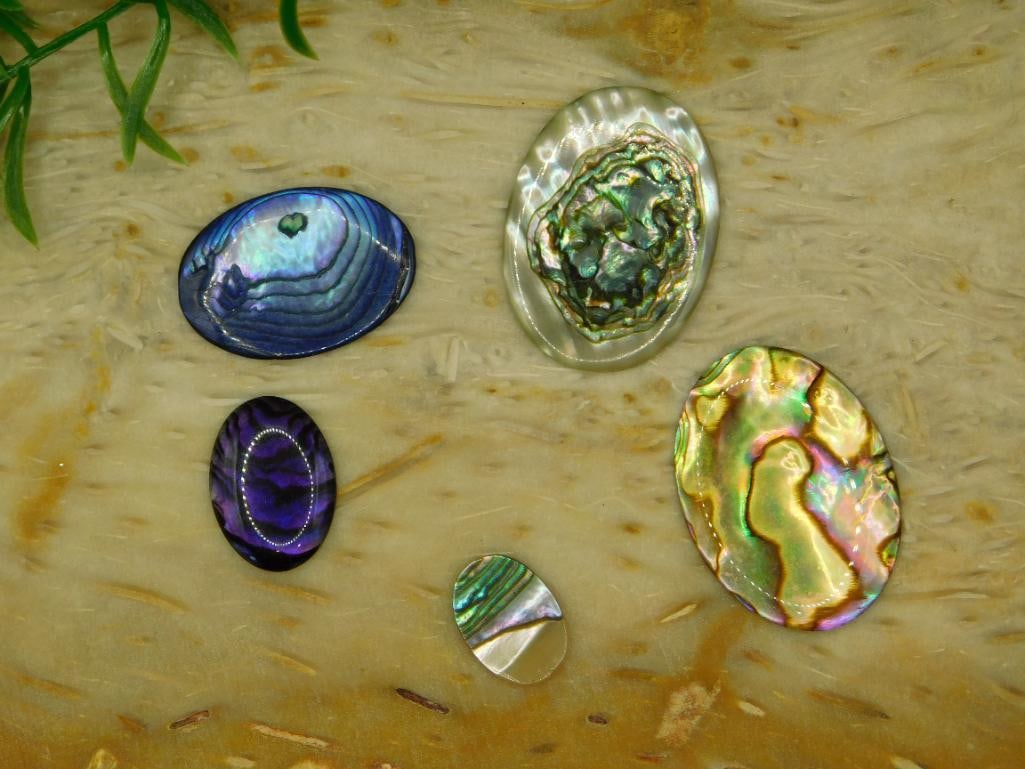 ABALONE STONE CABOCHONS ROCK STONE LAPIDARY SPECIMEN: ABALONE STONE CABOCHONS ROCK STONE LAPIDARY SPECIMEN