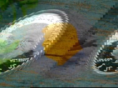 2020 DONALD TRUMP COIN