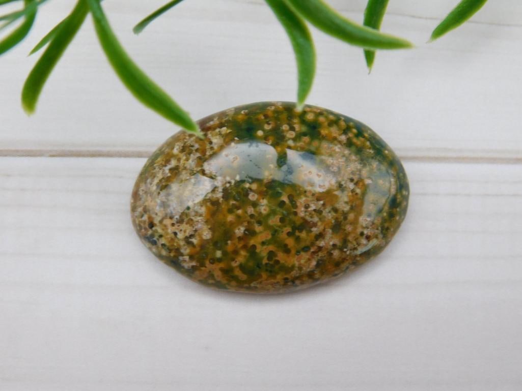 OCEAN JASPER CABOCHON ROCK STONE LAPIDARY SPECIMEN: OCEAN JASPER CABOCHON ROCK STONE LAPIDARY SPECIMEN