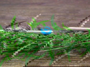 TURQUOISE BRACELET ROCK STONE LAPIDARY SPECIMEN