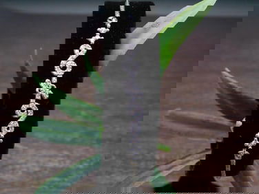 GENUINE STONE ADJUSTABLE BRACELET ROCK STONE LAPIDARY SPECIMEN