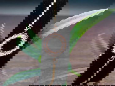 GENUINE STONE ADJUSTABLE BRACELET ROCK STONE LAPIDARY SPECIMEN