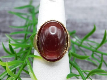 CARNELIAN RING ROCK STONE LAPIDARY SPECIMEN