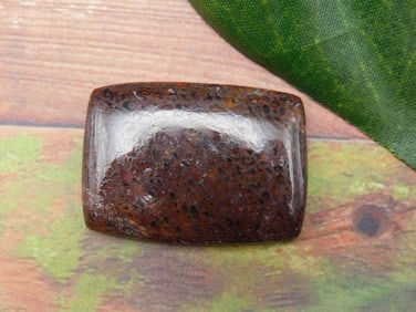 DINOSAUR BONE CABOCHON ROCK STONE LAPIDARY SPECIMEN