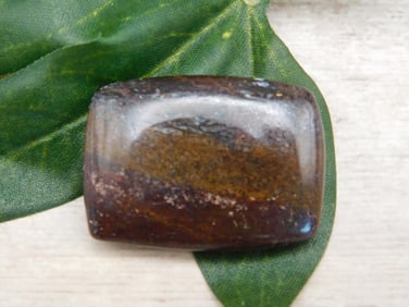 DINOSAUR BONE CABOCHON ROCK STONE LAPIDARY SPECIMEN