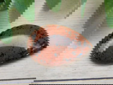 MAHOGANY OBSIDIAN CABOCHON ROCK STONE LAPIDARY SPECIMEN