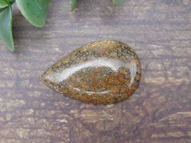 DINOSAUR CABOCHON ROCK STONE LAPIDARY SPECIMEN