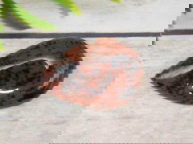 MAHOGANY OBSIDIAN CABOCHON ROCK STONE LAPIDARY SPECIMEN