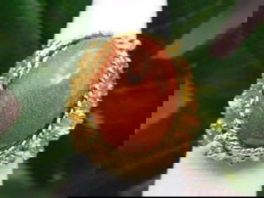 GOLDSTONE RING ROCK STONE LAPIDARY SPECIMEN