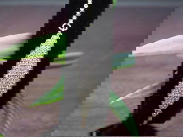 GENUINE STONE ADJUSTABLE BRACELET ROCK STONE LAPIDARY SPECIMEN