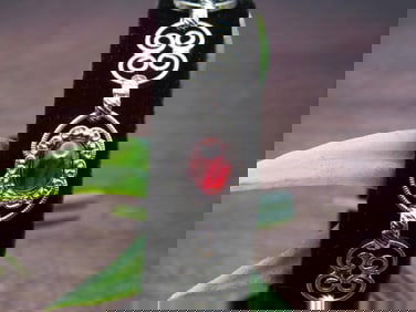 ABALONE STONE BRACELET ROCK STONE LAPIDARY SPECIMEN