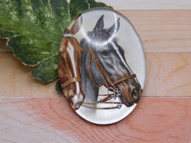 HORSE CABOCHON ROCK STONE LAPIDARY SPECIMEN