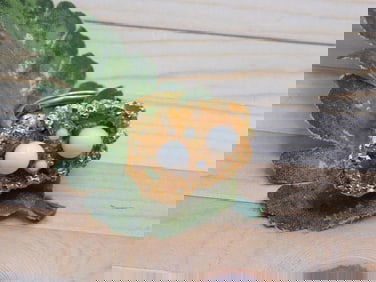 GENUINE STONE RING ROCK STONE LAPIDARY SPECIMEN