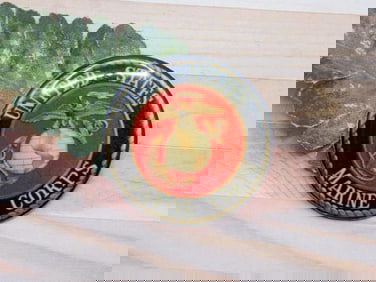 UNITED STATES MARINE CORPS CABOCHON ROCK STONE LAPIDARY SPECIMEN