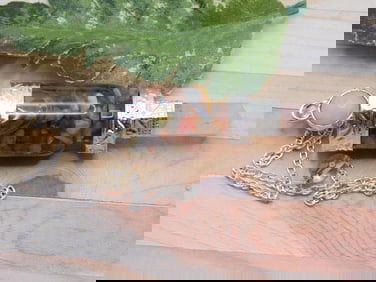 MIXED STONE PENDULUM ROCK STONE LAPIDARY SPECIMEN