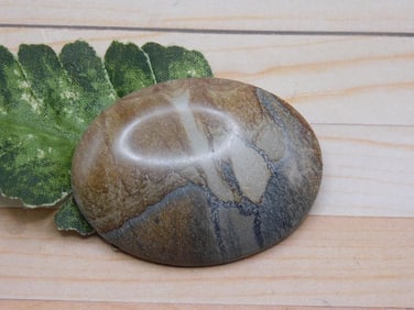 JASPER CABOCHON ROCK STONE LAPIDARY SPECIMEN