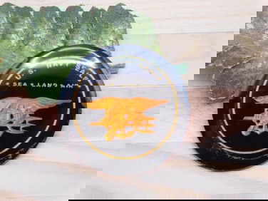 U.S. NAVY SEALS CABOCHON ROCK STONE LAPIDARY SPECIMEN