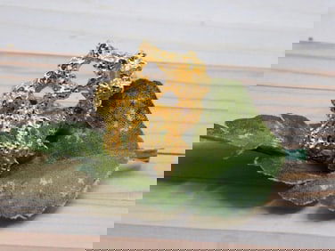 RING ROCK STONE LAPIDARY SPECIMEN