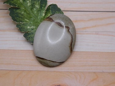 JASPER CABOCHON ROCK STONE LAPIDARY SPECIMEN