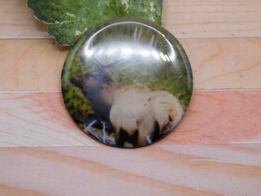 ELK CABOCHON ROCK STONE LAPIDARY SPECIMEN