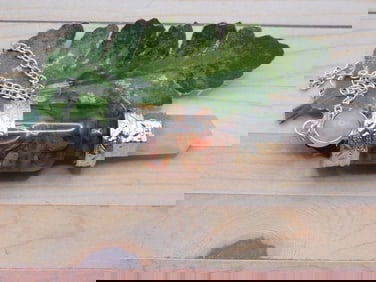 MIXED STONE PENDULUM ROCK STONE LAPIDARY SPECIMEN