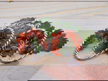 CARNELIAN WIRE TREE EARRINGS ROCK STONE LAPIDARY SPECIMEN