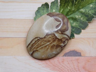 JASPER CABOCHON ROCK STONE LAPIDARY SPECIMEN