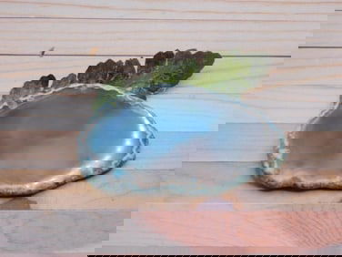 AGATE SLICE ROCK STONE LAPIDARY SPECIMEN