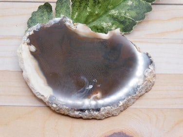 AGATE SLICE ROCK STONE LAPIDARY SPECIMEN