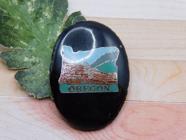 OREGON CABOCHON ROCK STONE LAPIDARY SPECIMEN