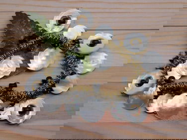 ABALONE BEAD BRACELET ROCK STONE LAPIDARY SPECIMEN