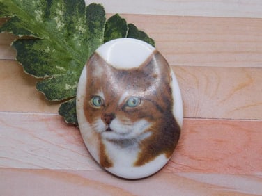 CAT CABOCHON ROCK STONE LAPIDARY SPECIMEN