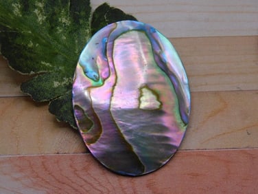 ABALONE CABOCHON ROCK STONE LAPIDARY SPECIMEN