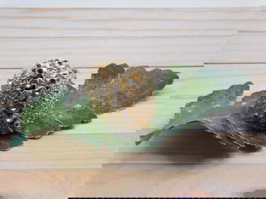 GENUINE STONE RING ROCK STONE LAPIDARY SPECIMEN